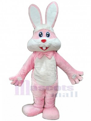 Lapin rose Activité du jour de Pâques Mascotte Costume Animal