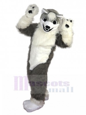 Velu Loup gris et blanc Chien husky costume de mascotte Animal