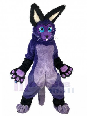Lapin costume de mascotte