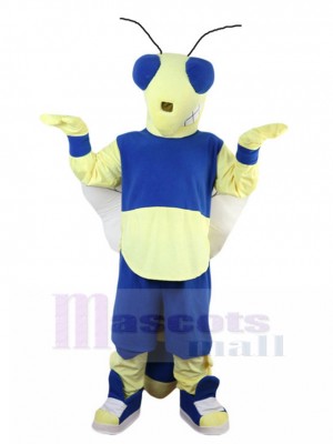 Sur de soi Abeille bleue et jaune costume de mascotte Insecte