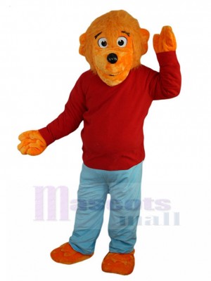 Ours costume de mascotte