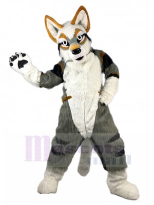Chien costume de mascotte