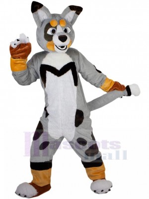 Chien costume de mascotte