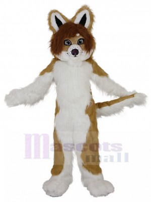 Chien costume de mascotte