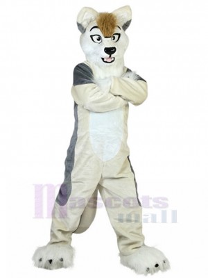 Chien costume de mascotte