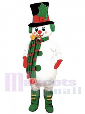 Bonhomme de neige Lutin Elfe Costume de mascotte Dessin animé