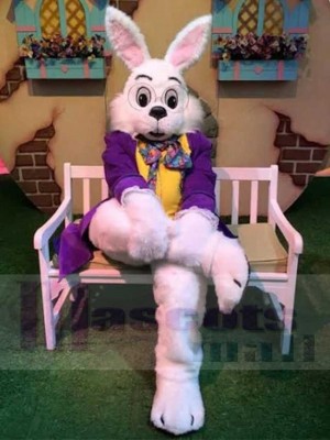 Wendell Lapin costume de mascotte
