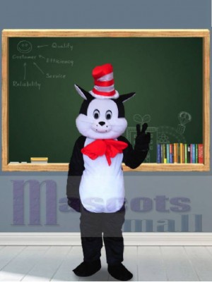 chat costume de mascotte