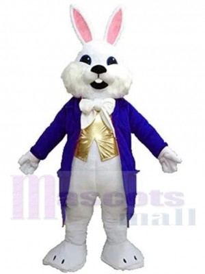 Lapin de Pâques Wendell bleu Mascotte Costume Animal