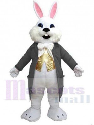 Lapin de Pâques Wendell gris Mascotte Costume Animal