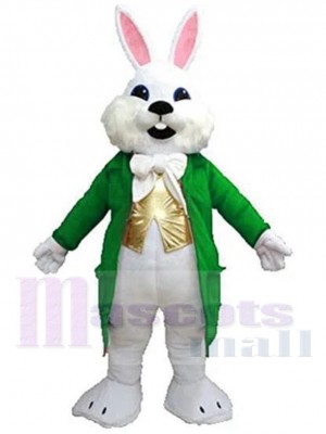 Lapin de Pâques Wendell vert Mascotte Costume Animal