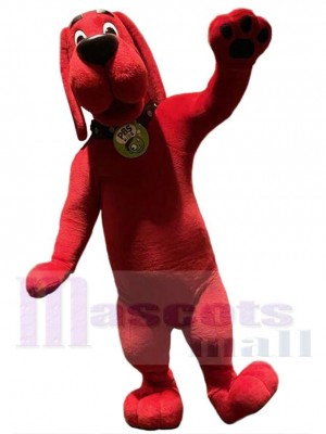 Chien costume de mascotte