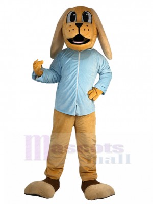 Chien costume de mascotte