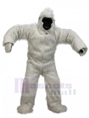 Gorille costume de mascotte