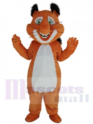 Écureuil costume de mascotte