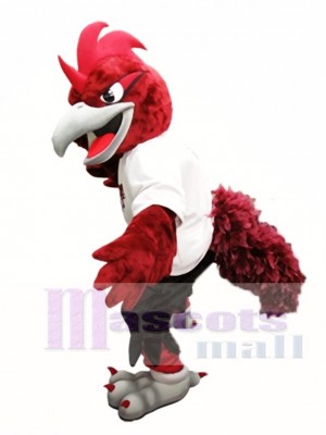 Mignon rouge Roadrunner Costume de mascotte Roadrunners College Costumes de mascotte Oiseau