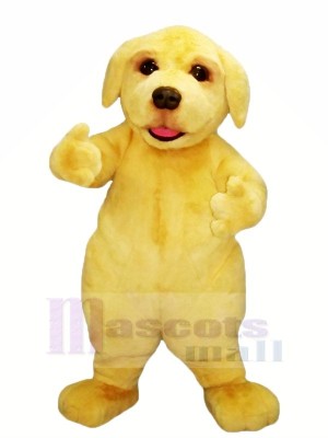 Jaune Velu Chien Mascotte Les costumes Animal