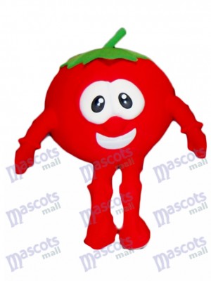 Bob le costume de mascotte de tomate de VeggieTales Cartoon