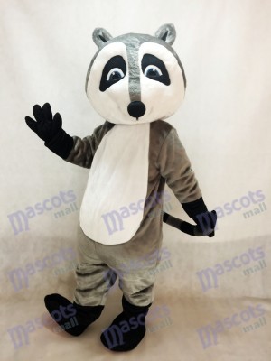 Costume de mascotte raton laveur gris