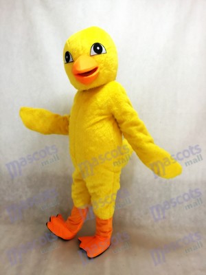 Costume de mascotte de poussin jaune
