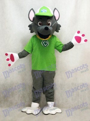 Paw Patrol Ecologie Pup Costume de mascotte Rocky Anime