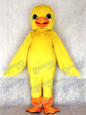 Costume de mascotte de poussin jaune mignon adulte Animal