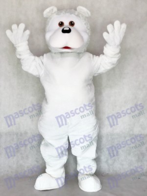 Costume mascotte mignonne d'ours blanc adulte Animal