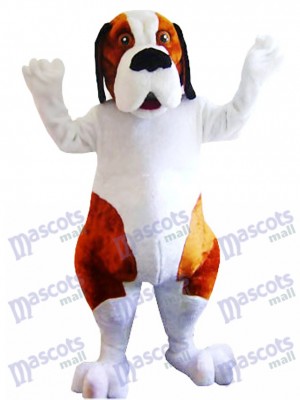 Costume de mascotte chien blanc et marron Saint Bernard