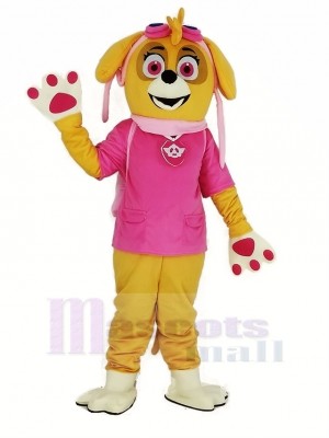 Paw Patrol Skye Adulte Mascotte Costume Dessin animé
