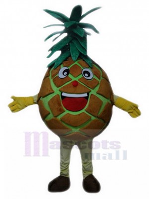 Ananas Brun Pierre costume de mascotte Dessin animé