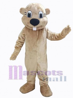 Castor costume de mascotte