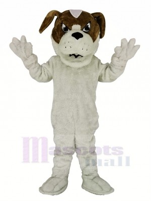 Saint Bernard Chien Mascotte Costume Dessin animé