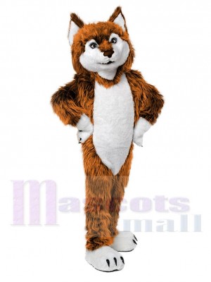 Mignon d'or Loup Mascotte Costume Animal