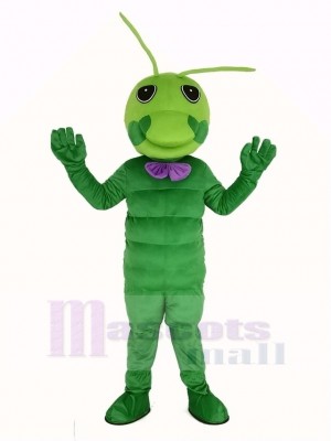 Ver vert Mascotte Costume Animal