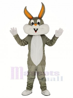 Pâques Bugs lapin Adulte Mascotte Costume Dessin animé