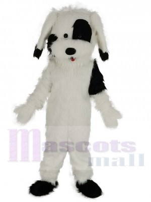 Drôle Chien noir et blanc Costume de mascotte Animal