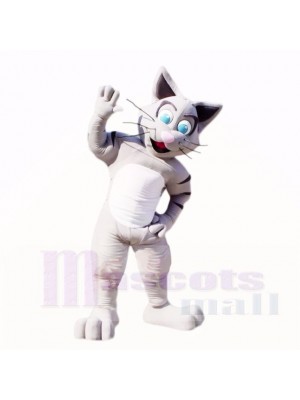 Amical gris Chat Costumes De Mascotte Dessin animé