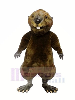 Haute Qualité Loutre Mascotte Les costumes