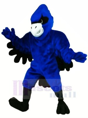 Bleu Geai avec Noir Ailes Mascotte Les costumes