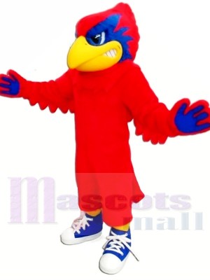 Cheney Cardinal Mascotte Les costumes