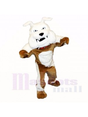 Greenstone Bouledogue Mascotte Les costumes Adulte