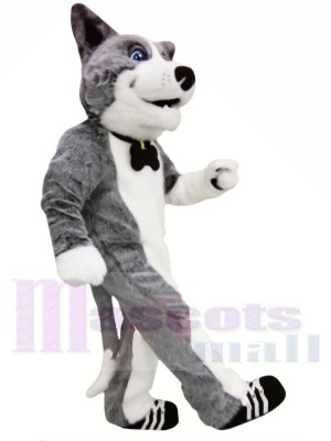 Mignonne Chien gris Costumes De Mascotte