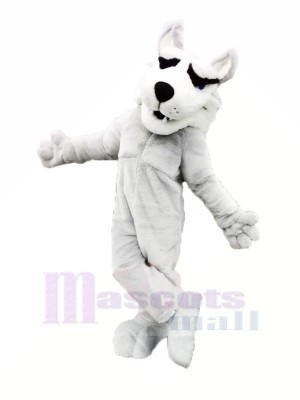 blanc Rauque Mascotte Les costumes Dessin animé