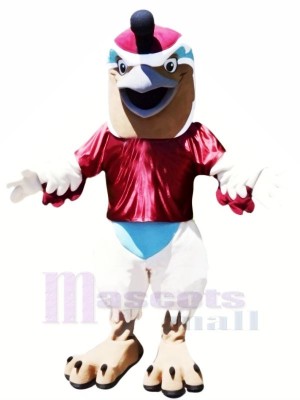 Marrant Caille Mascotte Les costumes Dessin animé