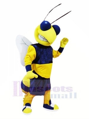 Cool Frelon Mascotte Les costumes Dessin animé