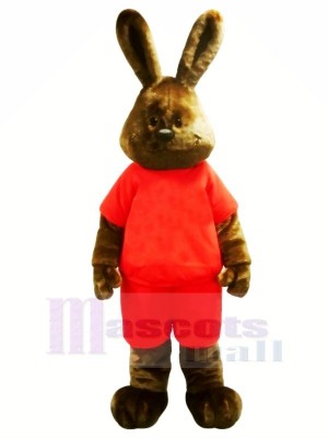 Heureux marron lapin Mascotte Les costumes Adulte