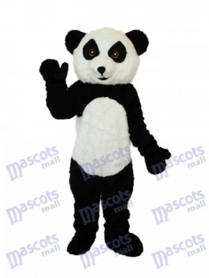 Panda en peluche Costume adulte de mascotte