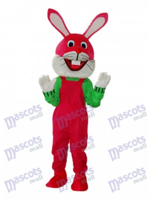 Etiquette de Pâques Lapin mascotte Costume adulte Animal