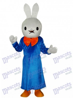 Pâques Smart Mascotte de lapin Costume adulte Animal