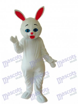 Mascotte de lapin de Pâques Costume adulte Animal